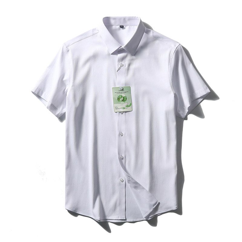 Mulberry Silk Short Sleeve Shirt Men's Summer Ice Silk 2024 New Coat Export Export Men's Clothing Business Casual Shirt