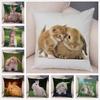Cute Rabbit Rabbit Cushion Cover Pillowcase Pillowcase Sofa Car Home Decor Pet Animal Pillowcase Polyester Pillowcase