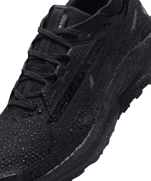 Nike Pegasus Trail 5 GORE-TEX M [FQ0908-002]
