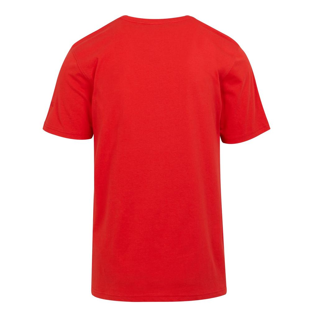 Regatta Mens Cline VIII Go Explore T-Shirt
