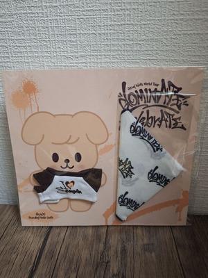 [Б/У] Наряд щенка Straykids Stray Kids
