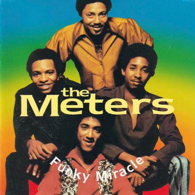 CD METERS - Funky Miracle CDNEV2 Charly Records 1991 UK Соул/Фанк Б/У
