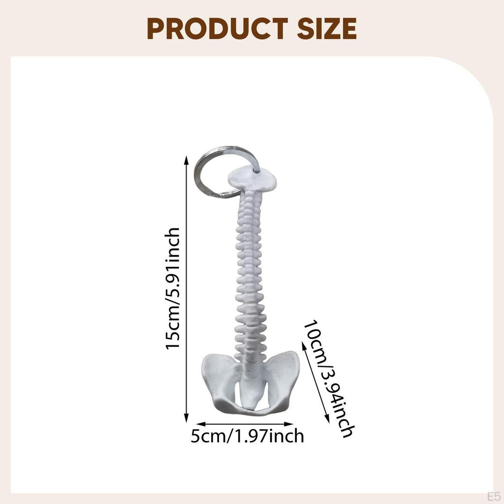 Брелок для ключей "Позвоночник человека", подвеска для сумки, ПВХ, 15 см, ручная работа, маленький, легкий, биология, подвеска для ключей