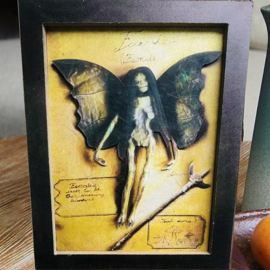 Творческая мумифицированная фоторамка, прямоугольная, прочный подарок