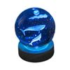 Luminous 3D Crystal Ball Night Light - Engraved Glass Room Ornament, Perfect Birthday Gift for Girls