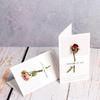 Artistic Rose Dried Flower Greeting Card - Fresh Style for Anniversaries and DIY Gifts