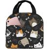 Funny Cat Insulated Lunch Bags Cooler Tote Organizer Bags Reusable Lunch Box for Women Girls Outdoor Work Picnic School