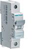 Circuit breaker 1P C 0.5A MCN100E