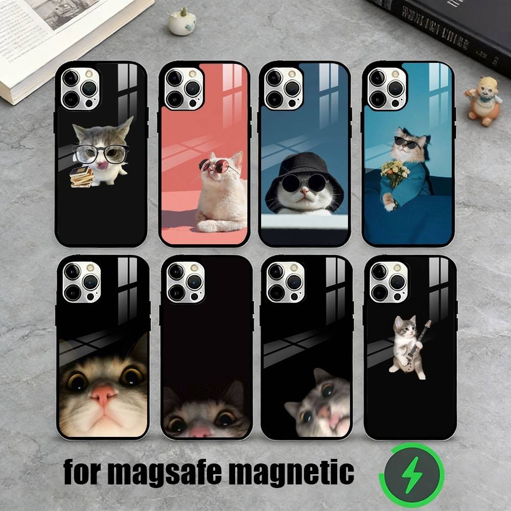 Funny Cute Cat Phone Case For iPhone17,16,15,14,13,12,11 Plus,Pro Magnetic with Magsafe Wireless Charging