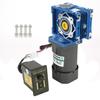 AC220V 90W Self Locking Worm Speed Adjustable CW CCW Gear Motor with Governor (15K)