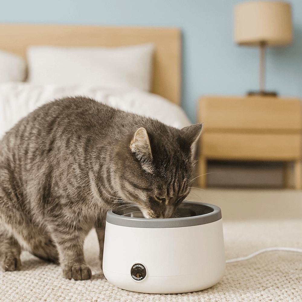 Ultra Quiet Heating Dog Bowl Stainless Steel Cat Water Fountain  Multi-Pet Household