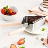 Stainless Steel Triangular Cake Slicer, ergonomic handle, durable for home and party use.