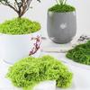 100/150/200/500/1000 г Искусственный зеленый мох DIY поделки Сказочные сады Центральные элементы стола Микроландшафт для аквариума Декоративный искусственный мох