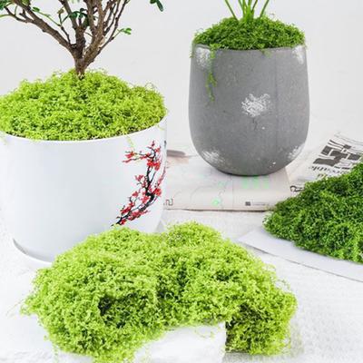 100/150/200/500/1000 г Искусственный зеленый мох DIY поделки Сказочные сады Центральные элементы стола Микроландшафт для аквариума Декоративный искусственный мох
