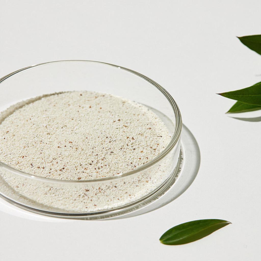 SUNGBOON Editor Green Tomato Deep Pore Clean Enzyme Powder Wash 50g