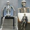1 PC Craft Anatomical Anatomy Halloween Model Bone Human Skeleton