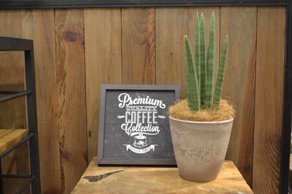 Richell Горшок для растений Botany Plain Pot 15 Тип Диаметр x Высота см 000645 Темно-серый Упаковка из 5 15.3 15.1