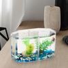 Двухсекционный Бокс для Бойцовых Рыбок Эко Rumble Fish Аквариум Пластиковый Изоляционный Бокс для Аквариума Разводной Бокс