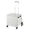 Portable Foldable Camping Trailer & Shopping Cart