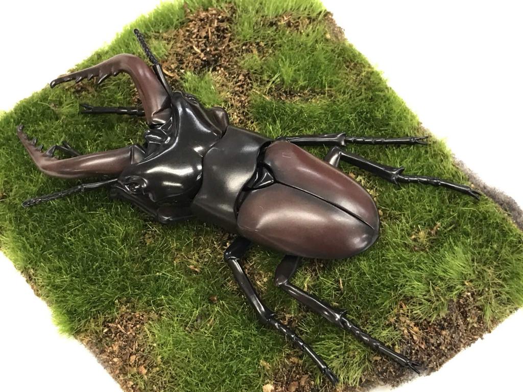 Free Research Series Living Creatures Stag Beetle Plastic Model No.22