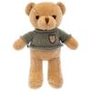Cartoon Teddy Bear Animal Plush Doll Bear Pillow Soothing Sleep Birthday Gift