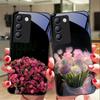 Чехол для телефона из закаленного стекла Pink Rose Blossoms для Y72 33S 11 03 36 96 Lite 35 16 Iqoo 12 V40 SE 5G 29 40 21 30 X80 Pro Vivo