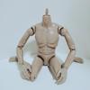 1/6 Doll Male Action Figure Solid Doll 1/6 Male Model Doll  Sketching Art Works