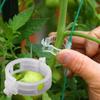 50/100pcs Reusable Plastic Plant Clips Supports Connects Protection Grafting Fixing Tool Gardening Supplies for Vegetable Tomato