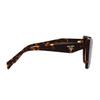 Prada Fashion Trend Butterfly Sunglasses Women sunglasses PR19ZS2AU6S1