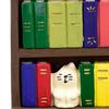 Миниатюрная книжная полка Кот Украшение Смола Японский стиль Компактная статуэтка Декорация для фотоаксессуаров Настольный офисный