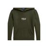 Худи Polo Ralph Lauren с принтом логотипа, с длинным рукавом, детские худи, зеленый 323961255-001