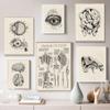 Retro Medical Canvas Painting Human Body Anatomy Education ArtBrain Organ Skeleton Wall Print Poster Modern Decoration Picture