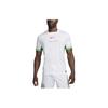 Nike Футбольная футболка-реплика Dri-FIT Нигерия 2024 Stadium Домашняя 'Бело-Зеленая' Мужская FQ8837-100