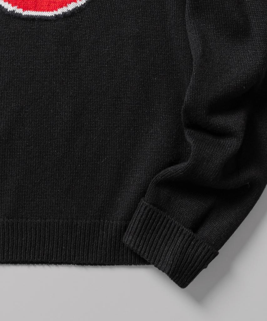 DICKIES Tree Logo Pullover Knit Black
