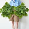 Vibrant Colors Artificial Plants 42 Leaves Simulated Green Plants Fake Tree Leaves  Patio