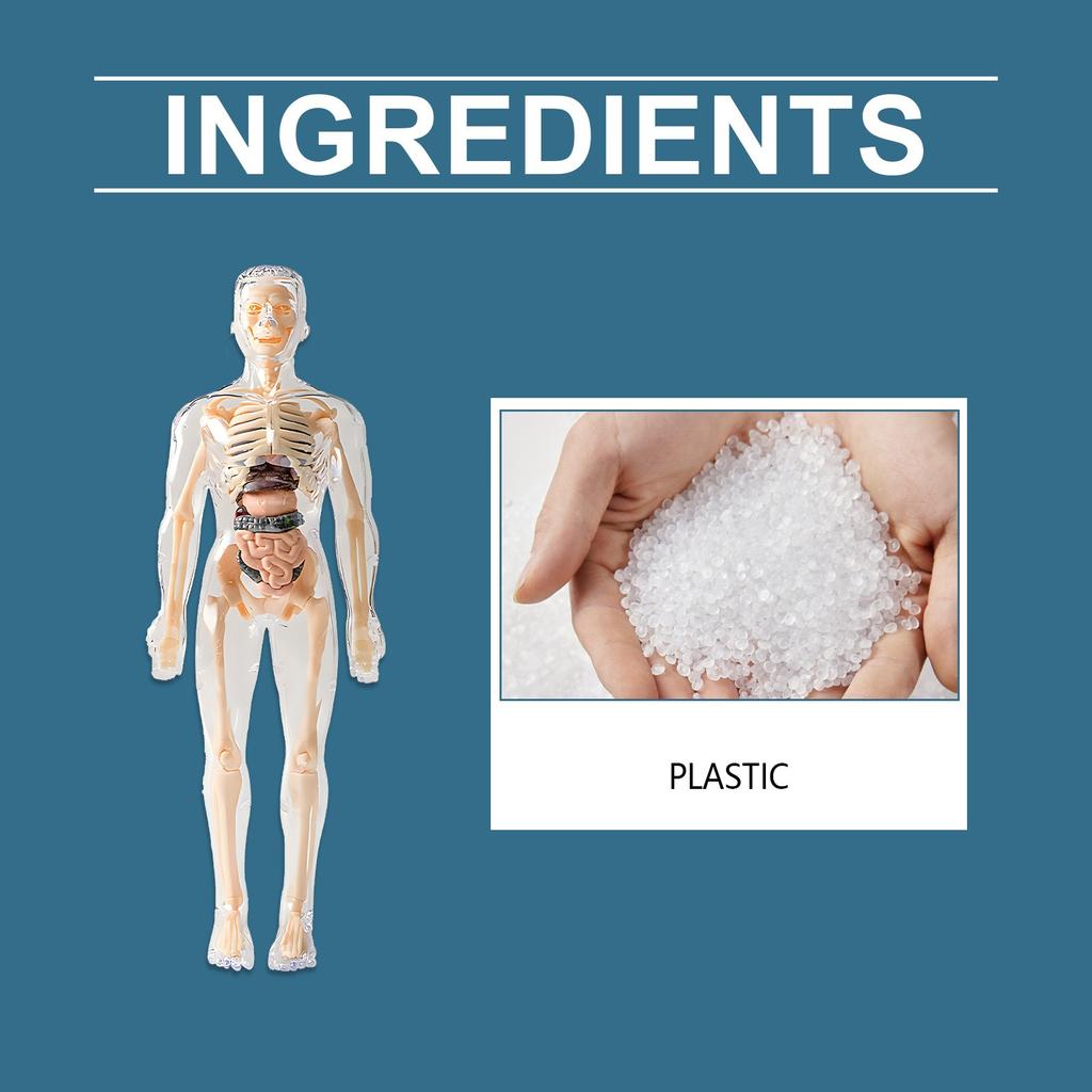 Детский манекен, интерактивный научный набор, обучающий набор игрушек по анатомии, модель строения человека, обучающие игрушки