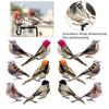 12Pcs Simulation Bird Realistic Vivid Appearance 6 Different Colors Spring Artificial Sparrow Feather Bird with Fixing Clip Home Decor