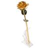 Preserved Rose 24K Gold Plated Bright Luster Rich Details Naturally Gold Dipped Rose with Holder