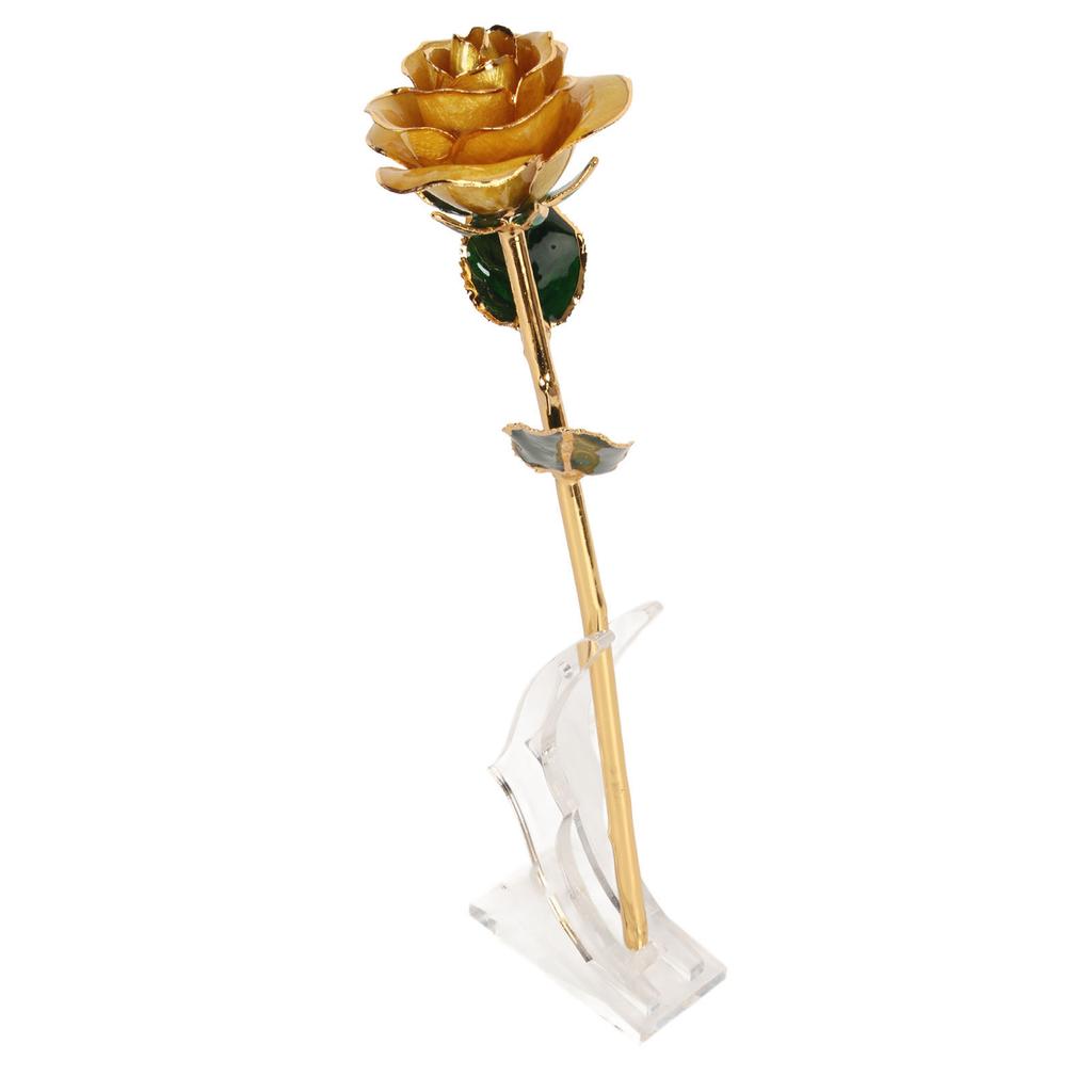 Preserved Rose 24K Gold Plated Bright Luster Rich Details Naturally Gold Dipped Rose with Holder