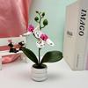 Potted Faux Phalaenopsis Flower For Event Decor And Indoor Embellishment Home