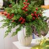 Yousheng 30/45Pcs Artificial Norfolk Pine Branch Christmas Red Berry Picks Faux Greenery Stem DIY Crafts Vase Garland Wreath Holiday Party Decoration