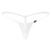 Mens T-Back Lingerie Thong Breathable Mesh Underwear Bikini Swimming Briefs