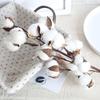 Simulation Flower Beautiful for Office Dried Cotton Dried Cotton Simulation Plant Sturdy Home Decoration Dried Cotton