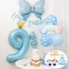 Sanrio Cinnamoroll Balloon Birthday Party Set, a Popular Character In Korea