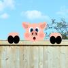 Мультяшное животное выглядывает Декоративная табличка для забора на улице
