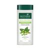 Biotique Bio Соевый Белок Свежий Питательный Шампунь | Восстанавливает Сухие и Поврежденные Волосы | Поддерживает pH Баланс | Способствует Здоровым Блестящим Волосам | Предотвращает Вымывание Цвета