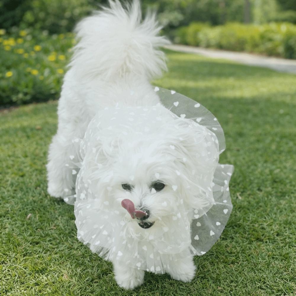 Mesh Pet Anti-Mosquito Headgear Breathable Love/Wave Point Pattern Dog Decorative Headgear Adjustable Dog Face Mask