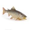 [Nekogamiyama] Yamame Trout, River Fish, Mountain Stream Fish, Figurine, Model, Miniature, Ornament, Interior Decoration, Collector's Model