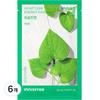 Houttuynia Cordata Energy Mask 22ml, 1 Pack, 6 Pieces