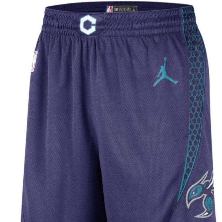 Air Jordan Charlotte Hornets NBA Shorts 'Purple' Men's DO9425-566
